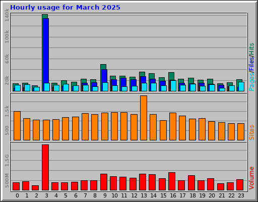 Hourly usage for March 2025